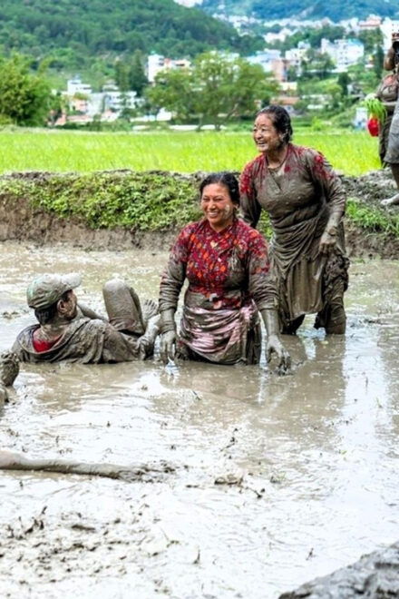 Kathmandu: the Mud and the Miracle,Paddy Plantation Festival - Cultural Significance