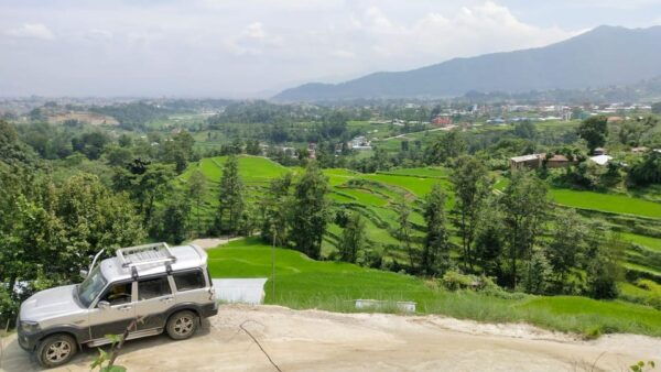 Kathmandu: the Mud and the Miracle,Paddy Plantation Festival - Tips for Participants