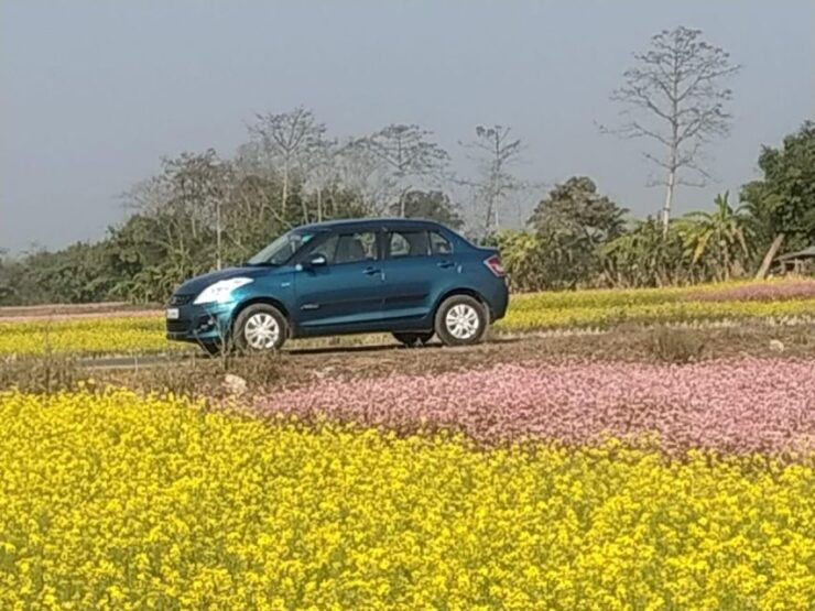 Kathmandu to Chitwan (Sauraha) Private Transfer - Activity Details