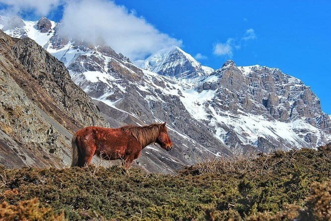 Kathmandu to Langtang Valley 7-Day Trek - Day 6: Lama Hotel to Syapru Besi