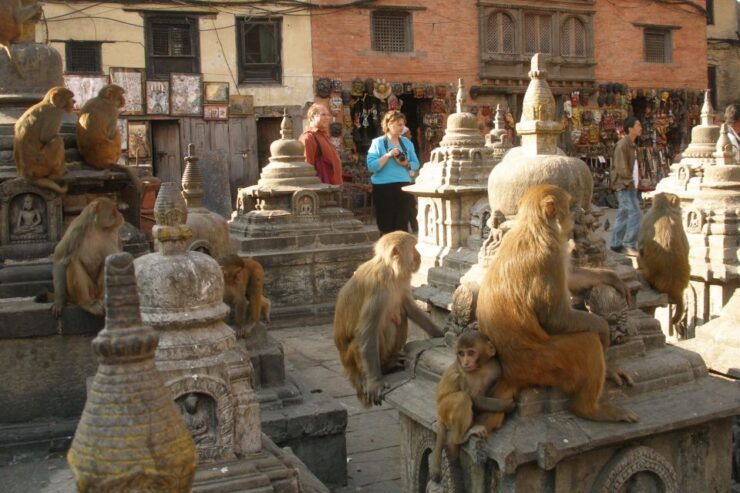 Kathmandu Transit Tour Transit Tour in Kathmandu Nepal - Tour Duration and Guide