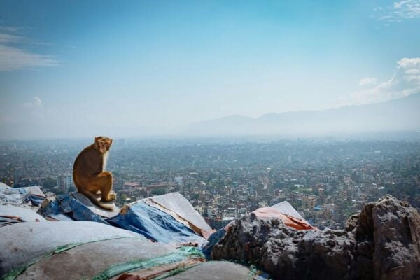 Kathmandu: Valley Sightseeing Tour - Questions You May Have
