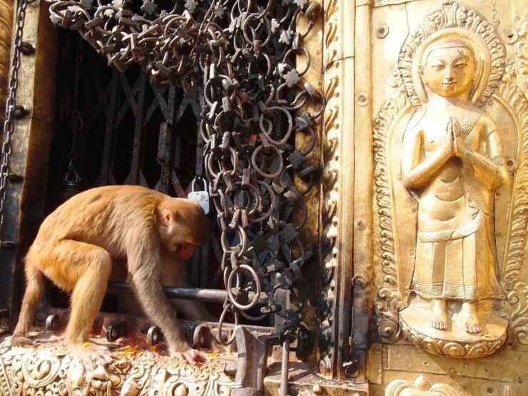 Kathmandu Walking Tour: Swayambhunath & Chhauni Museum - Discovering Chhauni Museum