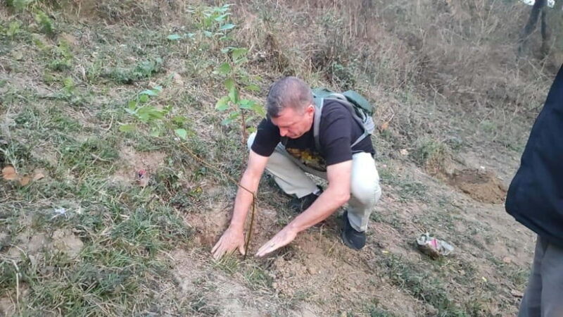 Kathmandu:7 Unesco tours, hikings, sunrise & more -All in 1 - Kathmandu: 7 UNESCO Tours, Hikings, Sunrise & More - All in 1