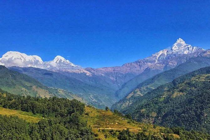 Kathmandu,Chitwan,Pokhara With Dhampus Sarangkot Trek - Included Highlights