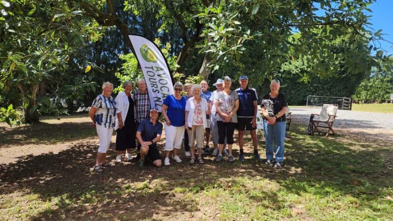 Katikati: Guided Avocado Adventures with Tasty Treats - Good To Know