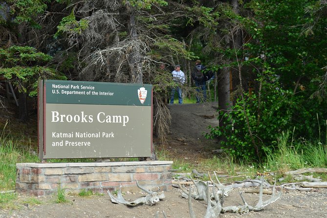 Katmai Brooks Falls Bear Experience - Duration and Admission