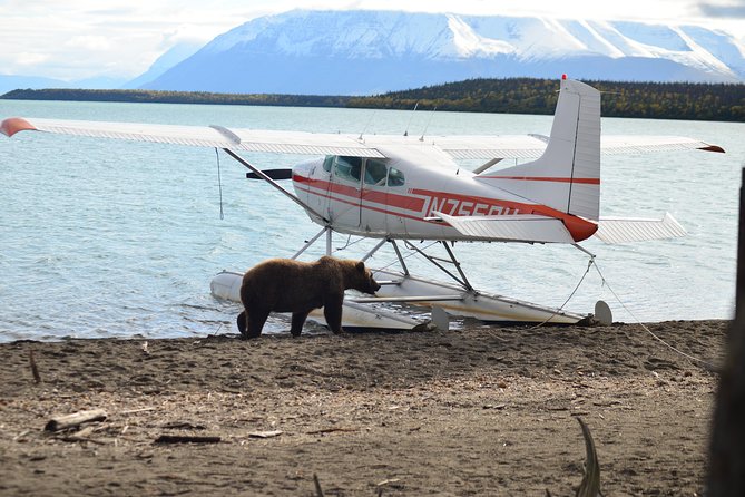 Katmai Brooks Falls Bear Experience - Additional Information and Requirements