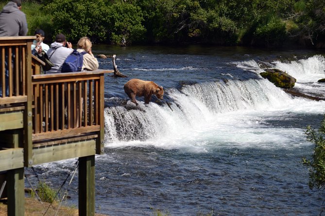 Katmai Brooks Falls Bear Experience - Common Questions