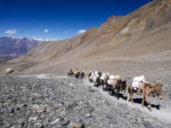 Katmandu: 14-Day Annapurna Circuit Trek via Thorang La Pass - Booking Information