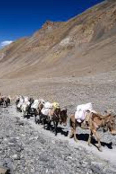 Katmandu: 14-Day Annapurna Circuit Trek via Thorang La Pass - Break Down