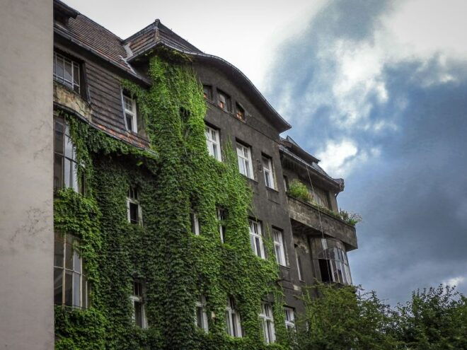 Katowice: Express Walk With a Local in 60 Minutes - Group Size and Language Options