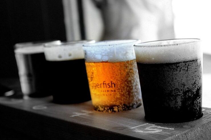 Katowice Private Polish Beer Tasting Tour - Activity Details