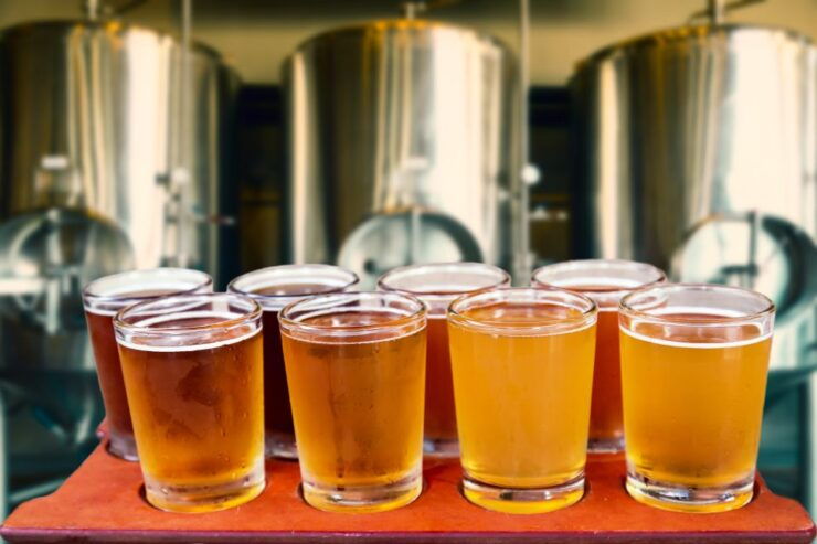 Katowice Private Polish Beer Tasting Tour - Tasting Experience