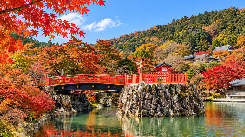 Katsuo-ji Temple Daruma Prayer, Kyoto Arashiyama, Kiyomizu-dera Temple: Lunch can be upgraded to A5 Kuroge Wagyu "Kobe Beef" (Matcha experience included) - Should you book it?