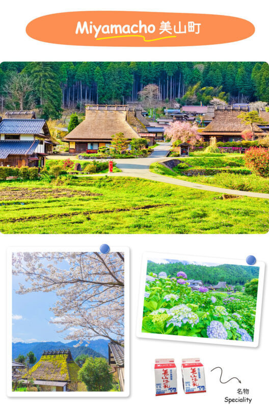 Katsuo-ji Temple, Miyama, and Arashiyama Day Trip - Is $44.85 good value?