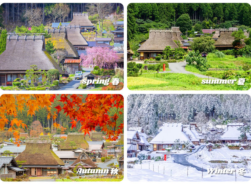 Katsuo-ji Temple, Miyama, and Arashiyama Day Trip - Who should book this trip?