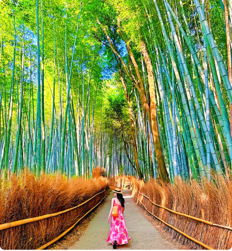 Katsuo-ji Temple, Miyama, and Arashiyama Day Trip - Should you book it?