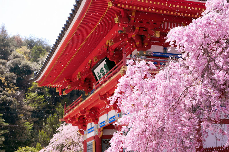 Katsuo-ji Temple Ticket (Optional Osaka Metro Pass) - At a glance