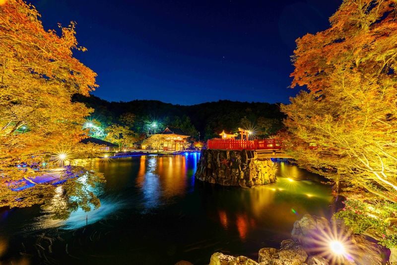 Katsuo-ji Temple Ticket (Optional Osaka Metro Pass) - Getting there from Osaka