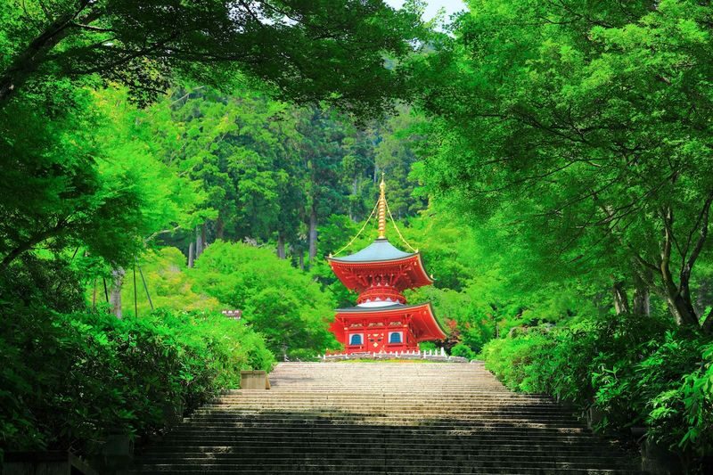 Katsuo-ji Temple Ticket (Optional Osaka Metro Pass) - Choosing the Osaka Metro pass option
