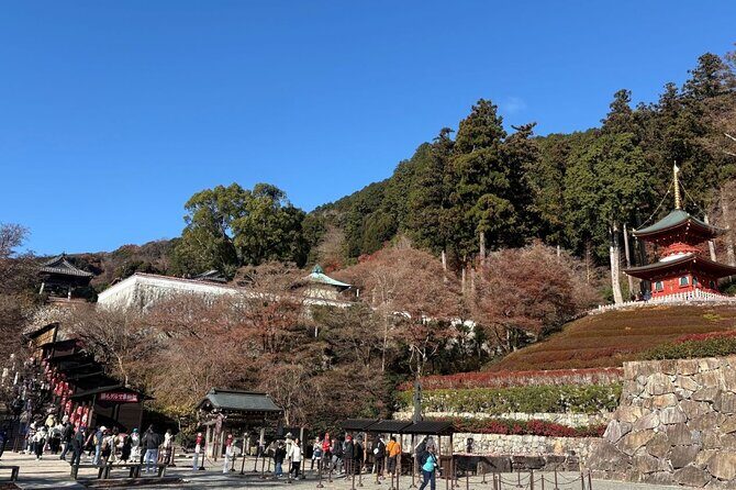 Katsuo-ji Temple,Kyoto KIYOMIZU-DERA&Arashiyama,Matcha experience - Who Is This Tour Best For?
