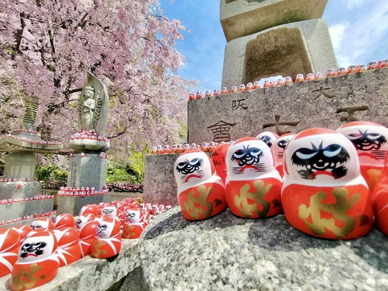 Katsuoji & Minoh Falls Half-day Nature & Electric Bike Tour - A half-day out of Osaka, with two clear reasons to go