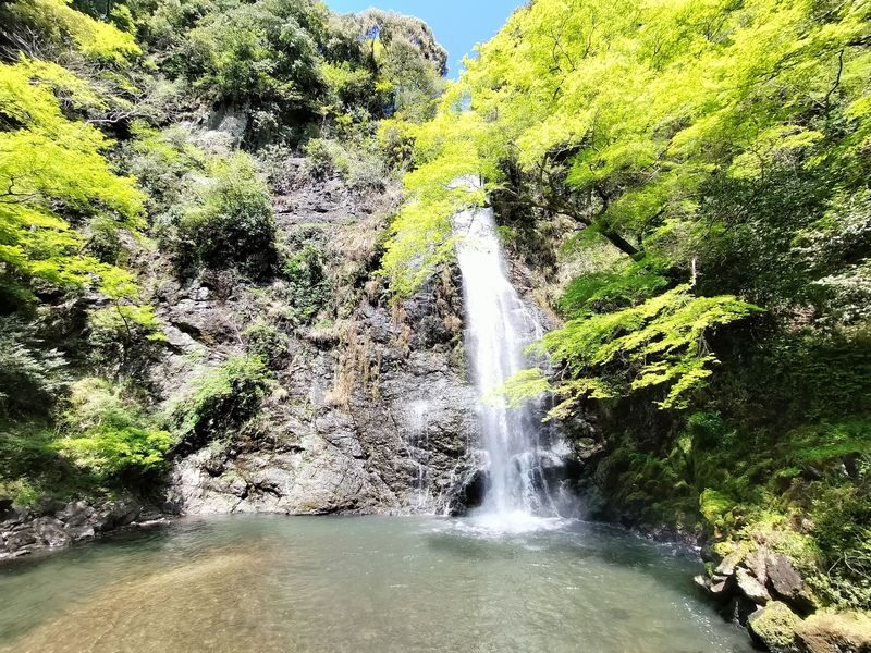 Katsuoji & Minoh Falls Half-day Nature & Electric Bike Tour - Katsuoji Temple: the cultural stop