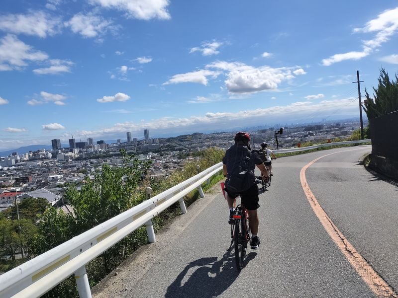 Katsuoji & Minoh Falls Half-day Nature & Electric Bike Tour - Minoh Falls: a small waterfall and a nature break
