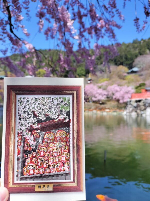 Katsuoji & Minoh Falls Half-day Nature & Electric Bike Tour - What the electric bike adds