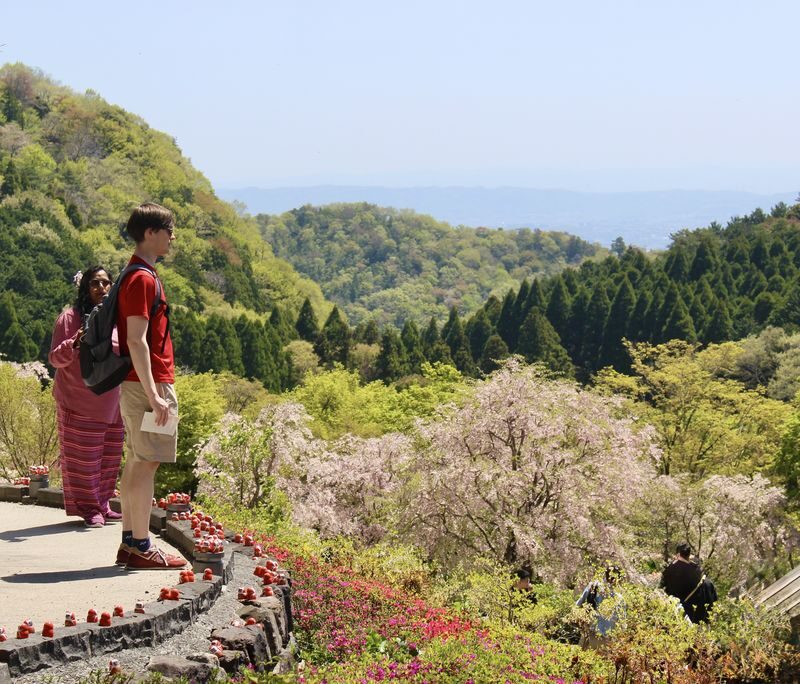 Katsuoji & Minoh Falls Half-day Nature & Electric Bike Tour - Is $78.85 a fair price?