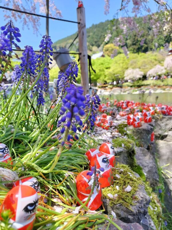 Katsuoji & Minoh Falls Half-day Nature & Electric Bike Tour - Who should book this tour?