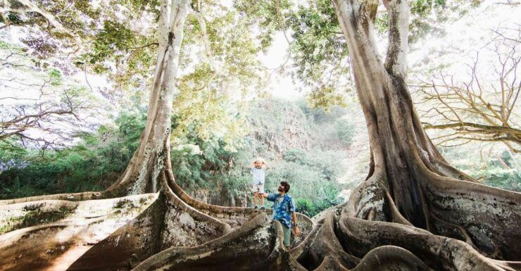 Kauai: Allerton Garden Guided Group Walking Tour - Activity Details