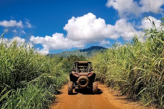 Kauai ATV Backroads Adventure Tour - Tour Overview
