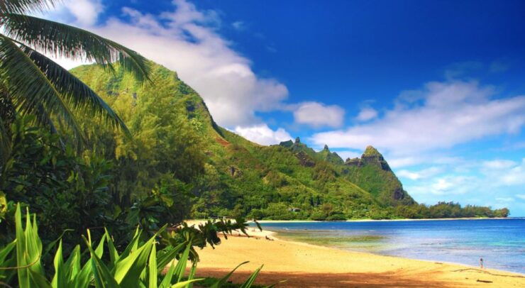 Kauai: Customized Luxury Private Tour - Booking Details