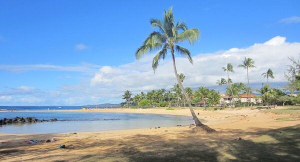 Kauai: Customized Luxury Private Tour - Personalized Touch: Ukulele Serenade at Waimea Canyon