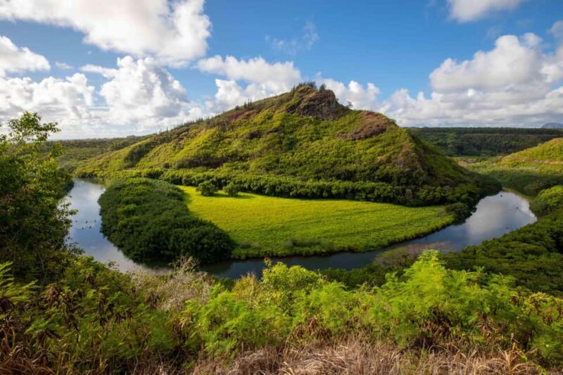 Kauai East Side and North Shore: Waterfalls & Beaches Tour - Who is This Tour Best For?