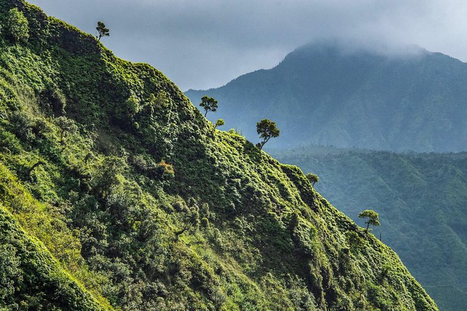 Kauai ECO Adventure Helicopter Tour - The Sum Up