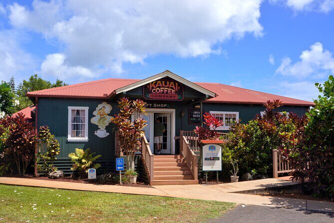 Kauai Full Day Tour with Cruise ships or Kauai Airport Pickup - Who Will Love This Tour