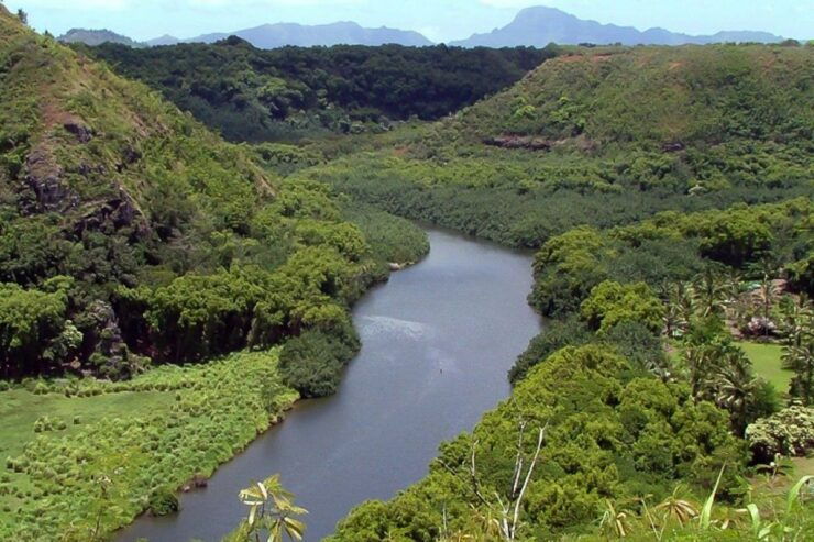 Kauai: Full-Day Tour With Fern Grotto River Cruise - Tour Experience