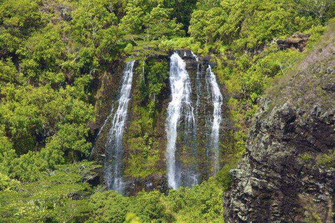 Kauai: Full-Day Tour With Fern Grotto River Cruise - Highlights of the Tour