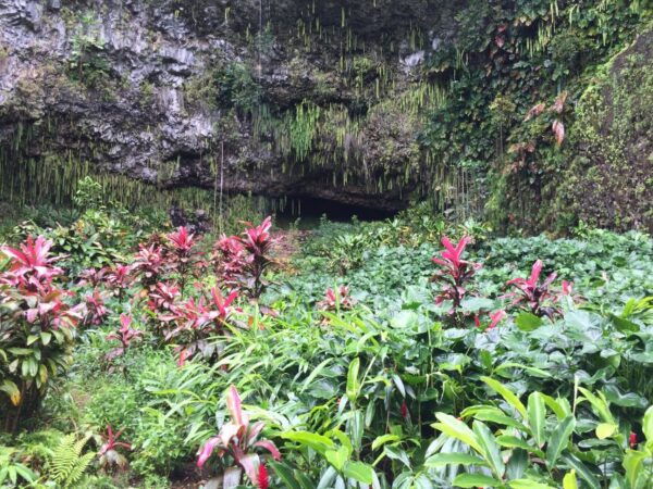 Kauai: Full-Day Tour With Fern Grotto River Cruise - Tour Itinerary