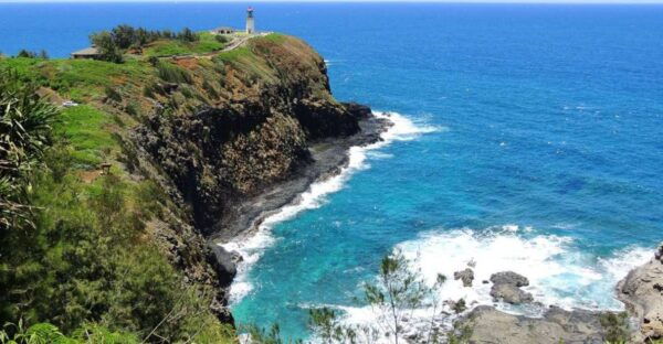 Kauai: Full-Day Tour With Fern Grotto River Cruise - The Sum Up