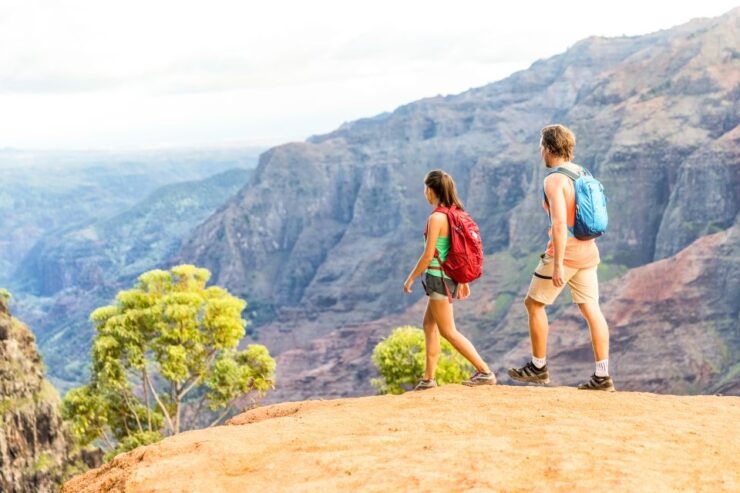 Kauai: Full-Day Waimea Canyon & Wailua River Tour - Activity Details