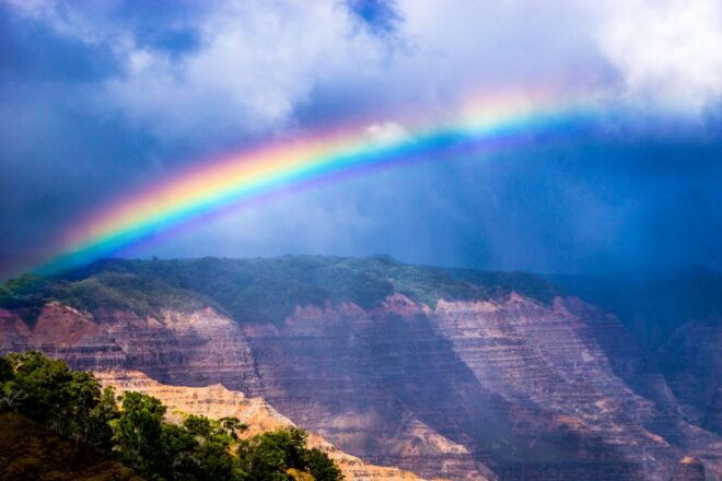 Kauai: Full-Day Waimea Canyon & Wailua River Tour - Customer Reviews