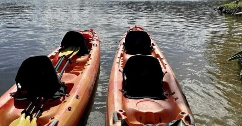 Kauai: Guided Kayak and Hike to Secret Falls - Good To Know