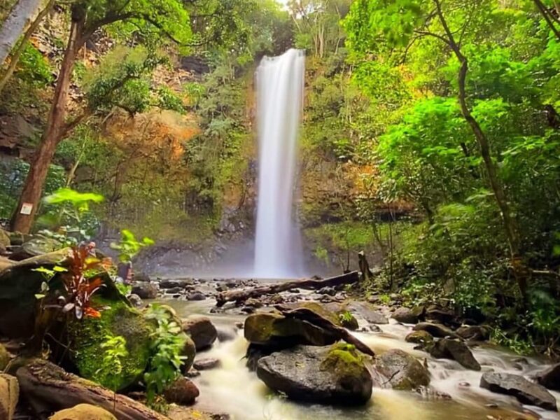 Kauai: Guided Kayak and Hike to Secret Falls - FAQ