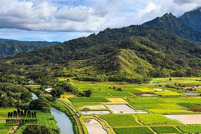 Kauai: Hawaii Movie Tours - Reviews and Recommendations