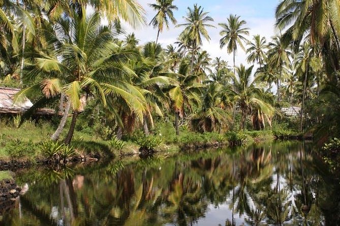 Kauai: Hawaii Movie Tours - Lowest Price Guarantee