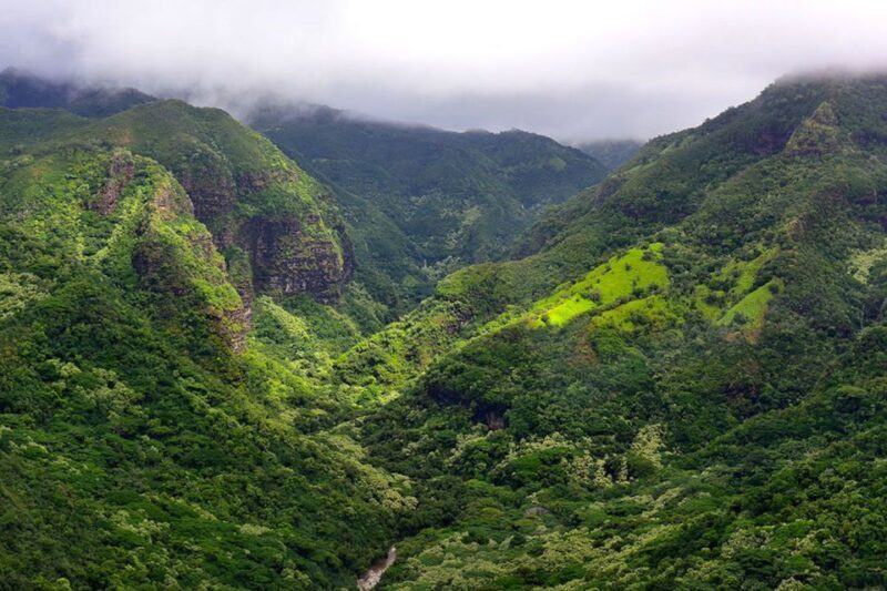 Kauai: Highlights & Movie Sites - Small-Group Comfort and Practicalities